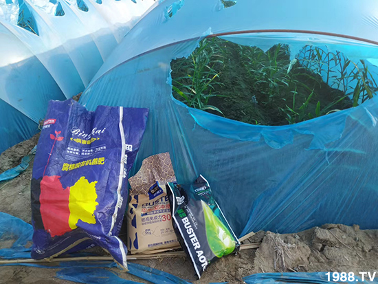     ���׌�Nֲ׃�ø��p�ɣ�һ��(g��)�ײ���ȫ���䷽����˹�ش󽪠I(y��ng)�B(y��ng)�ײͷ�����