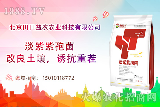 ���t��������c(di��n)����Щ�����t���ļ���ι�����