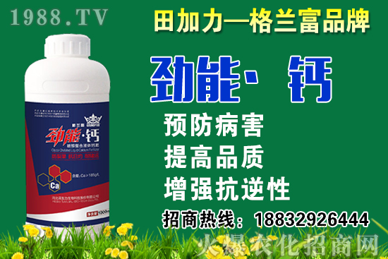 2020���}��ʲô�r(sh��)��N�����}���NֲҪע����Щ���}��