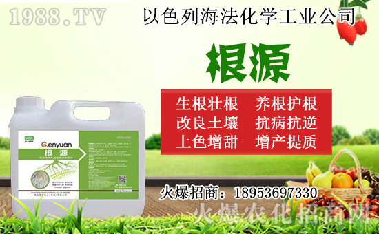 �o������ôǤ�����o����Ǥ��r�g��Ǥ�己ֳ������