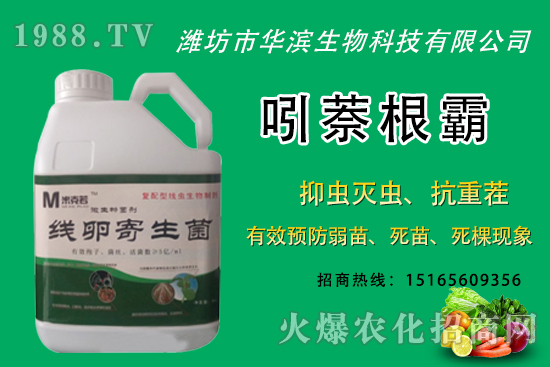 �o�����NֲʲôƷ�N�^�ã��o����Ƥ���ԳԆ����Nֲǰ��������