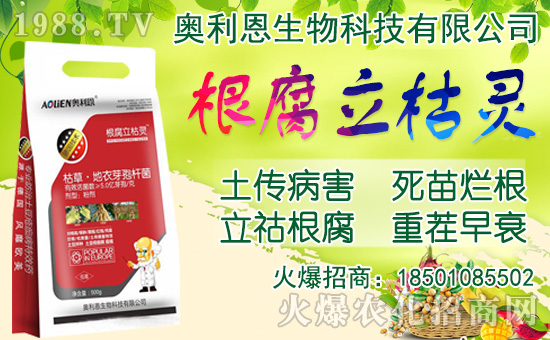 ���[���ʩ�ʣ����[�Nֲ���������N�r(sh��)�g��