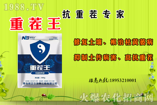 ɽ��ʲô����(ji��)������ɽ�����Ҫ�a(ch��n)������������ôʳ����