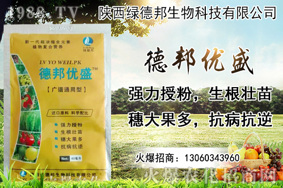 �����r������Xһ���������Nֲ�ĭh(hu��n)�������x������