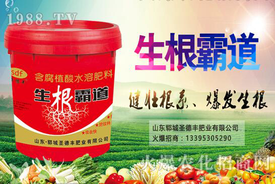 ������Nֲ����(ji��)��ʲô�r(sh��)����������Nֲ��������Щ��