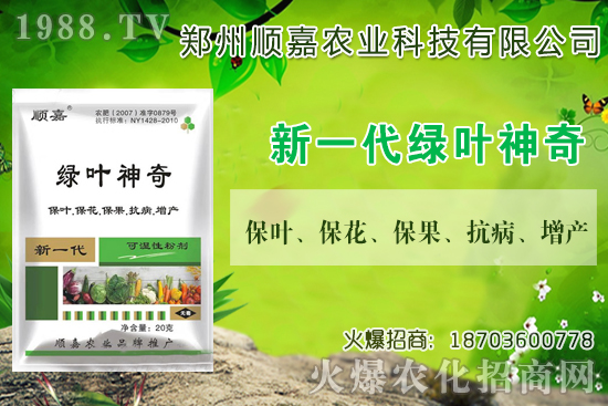 С���r(ji��)���B�B�ϝq���F(xi��n)��һ������X��