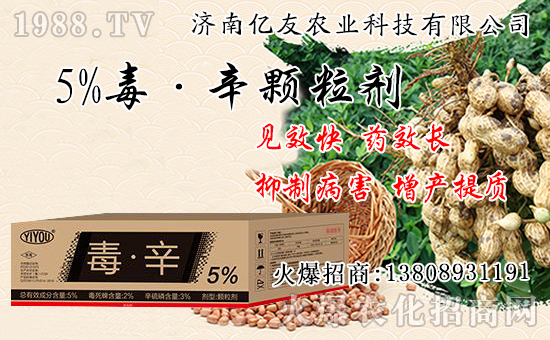 �������Ժʹ�����ʲô��ͬ���������԰˴��P(gu��n)�IҪ�c(di��n)��