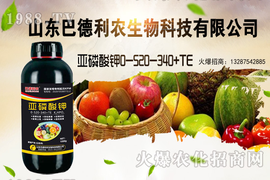 С���r���ܝq�������Xһ�������ֵ؅^(q��)�r�����飡