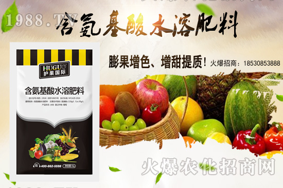 �|���m����ʲô����(ji��)�������|������M(j��n)�зNֲ��