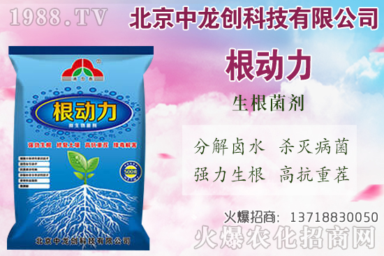 ���}���������������Щ�����}��ʩ�ʼ��g(sh��)Ҫ�c(di��n)��