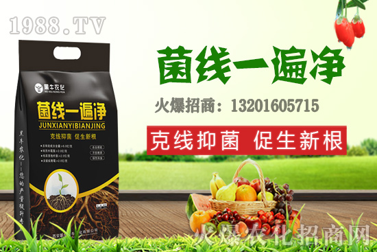 9��19��С���r(ji��)��������q�����F(xi��n)��