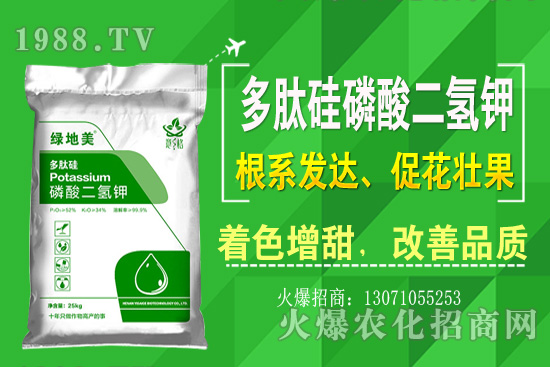 �۲˵ă�(y��u)��Ʒ�N����Щ���۲˷Nֲ���L�h(hu��n)�������Nֲ���g(sh��)��