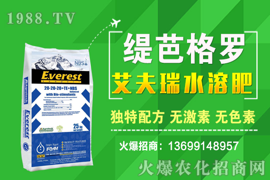 С���r(ji��)��q����ʮ��С�������A(y��)�y��