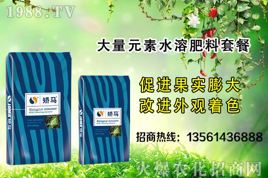 �＾����ʩ�ʵĺ�̎����Щ���＾����ʩ��ָ��(d��o)������