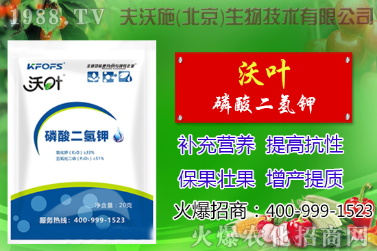 ���t��ժ�~����Щ��̎������ժ�~���g(sh��)��ע�������