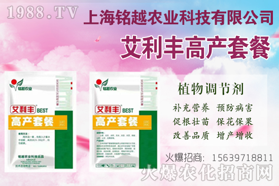 �޻�������ʲô����(ji��)�������F(xi��n)���}����Щ���޻������ڹ���Ҫ�c(di��n)��