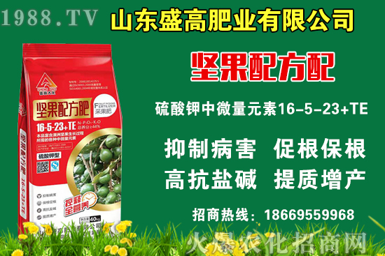 С���r��߀Ҫ�ϝq����9��9�Շ���(n��i)С���r��������