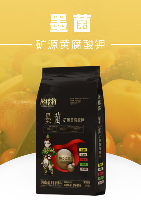 �VԴ�S�����-ī��-��ڌ�-�{���r(n��ng)��_01