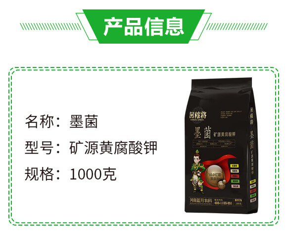 �VԴ�S�����-ī��-��ڌ�-�{���r(n��ng)��_02