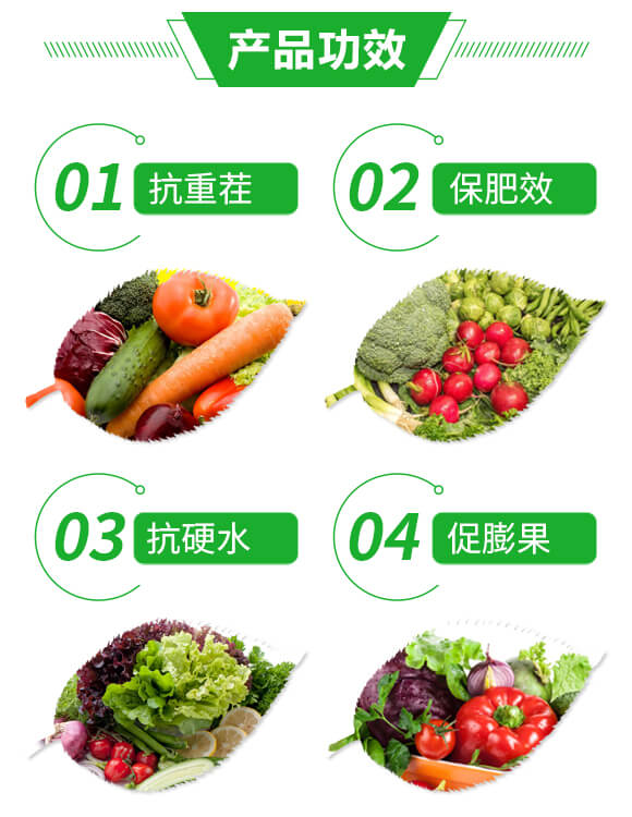 �VԴ�S�����-ī��-��ڌ�-�{���r(n��ng)��_03