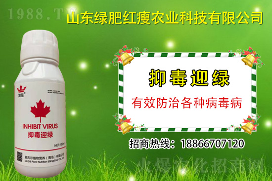 ���β�������Ҳ���ðΣ����ֶ�ӭ�G�����β�������