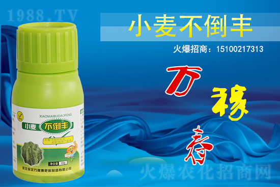 С��������ô����߀������С�������S!