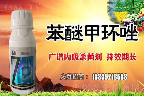 �������L�U�Ӵ���������ö�С�����o������