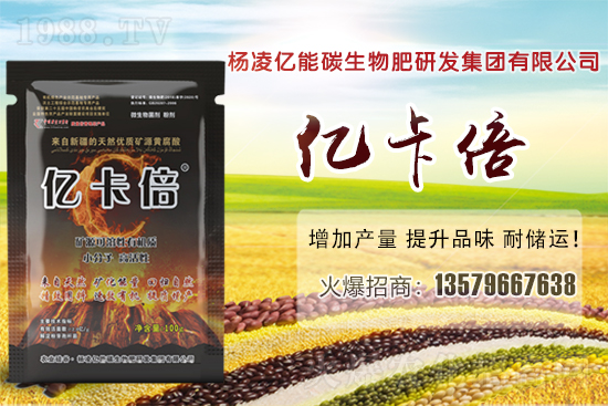 ���}�ۮa(ch��n)�����҇���Щʡ�ݣ����}������Щ��ҊƷ�N��