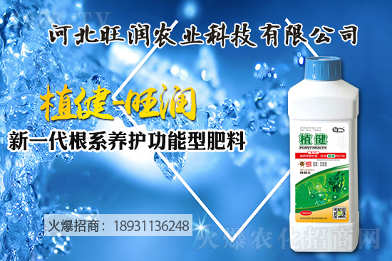 �{ݮ������ô�Nֲ���{ݮ����ķNֲ���޼����ݼ��g(sh��)��