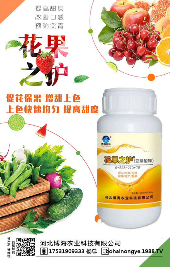 �����r(n��ng)���ٴ����v���r(n��ng)�����̾W(w��ng)����(sh��)�F(xi��n)��I(y��)�°l(f��)չ��