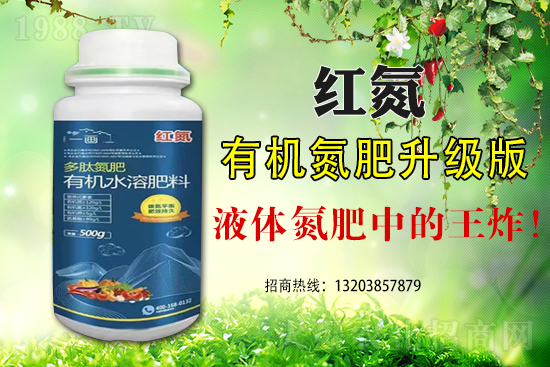 ���מ�ʲô��(hu��)���F(xi��n)��˥�@�N�F(xi��n)������α���������˥��