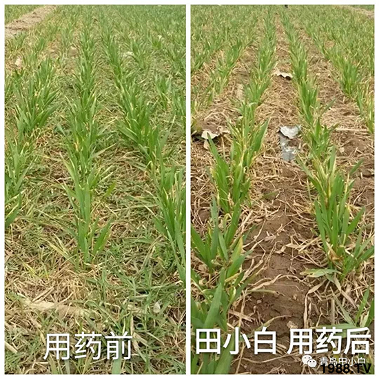 С���s�ݣ���(ji��)��(ji��)�����E�ɞ�(z��i)����ô�k��С�����݄���ô�x