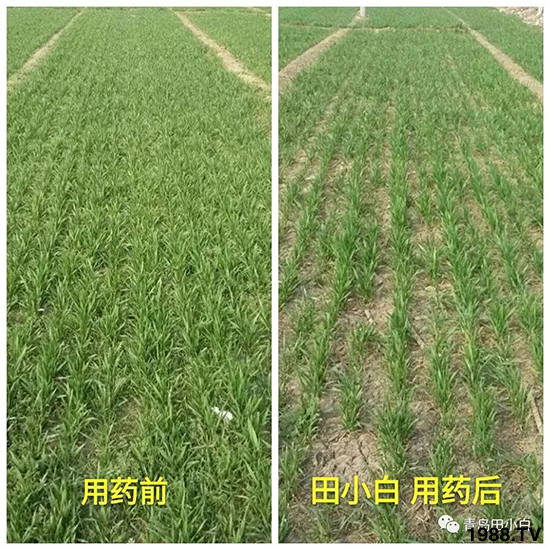 С���s������(ji��)��(ji��)�����E�ɞ�(z��i)����ô�k��С�����݄���ô�x