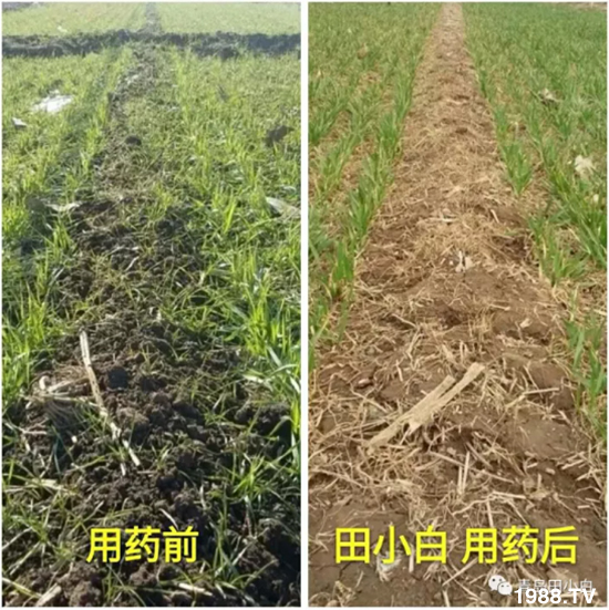 ��(ji��)��(ji��)��Σ����(y��n)����ô������ʲôˎ��Ч������