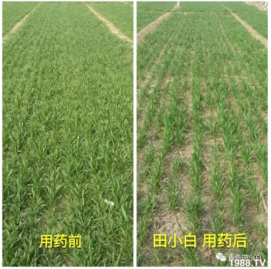 ��(ji��)��(ji��)��Σ����(y��n)����ô����ʲôˎ��Ч������