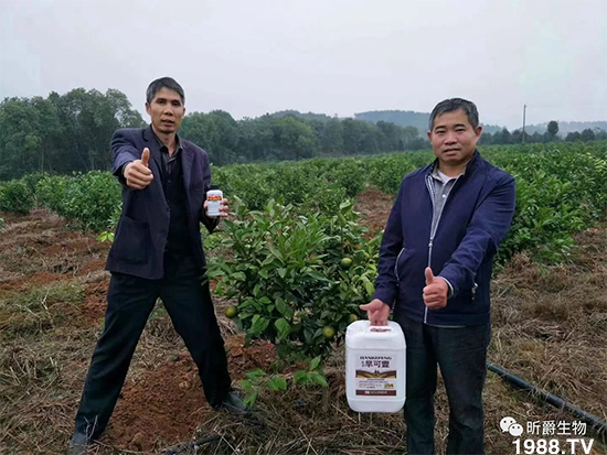 꿾����F(tu��n)83