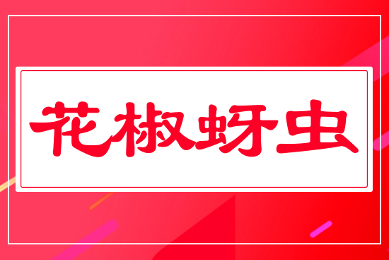 �������x