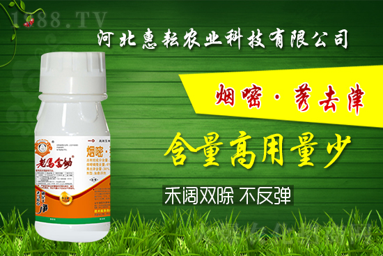 �⚢�pЧ�����ͨ�������������ӛס�@��(g��)�䷽�͉���! 