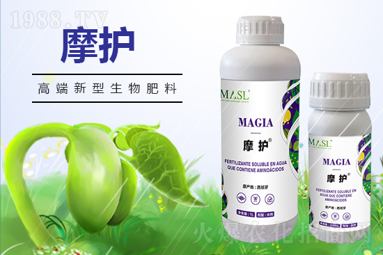 黃瓜苗期管理,需要注意哪些問(wèn)題?