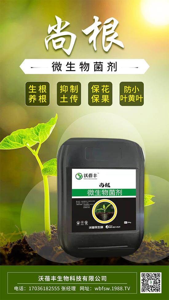 ��ô����׌���������Ѹ������@����׌��������������