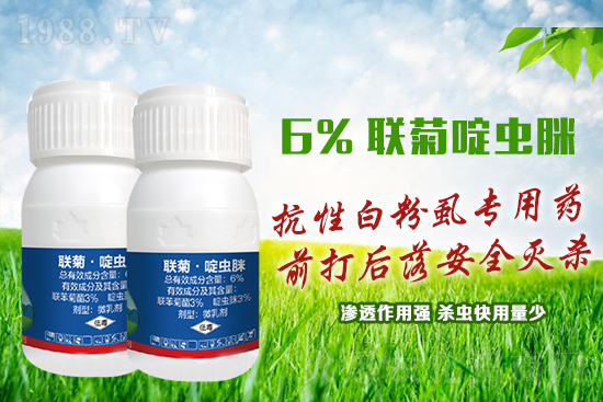 ���԰׷�ʭ�y�����y�����@����ˎ�x���p�������x��