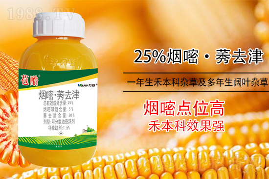 ���׳������e���@�׷N���݄���