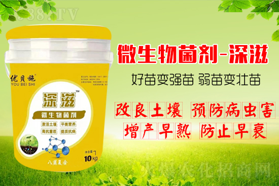 ������α��l(f��)ʽ�������������B(y��ng)�������������