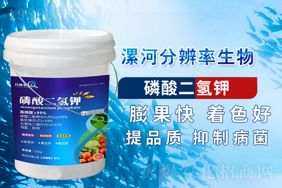 �~��ʵć�ʩ�`�^(q��)���@���c(di��n)�e������