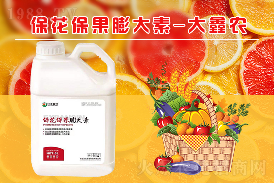 �ļ���������ٲ��ˣ���α��������