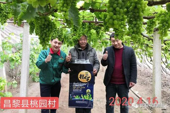 ����ܛ����ʲôԭ������η��Σ�