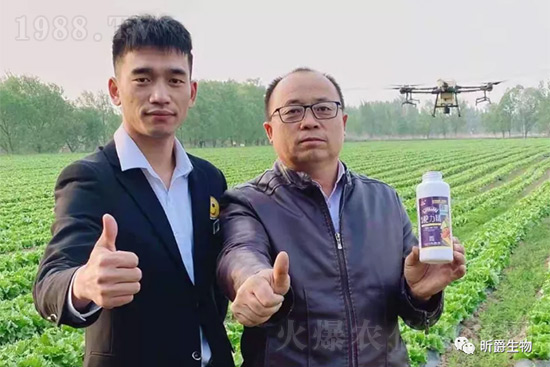 ����׷�ʏ�(f��)�Ϸʺ�߀�����غ����ܶ��˶��e(cu��)�������������_�x��