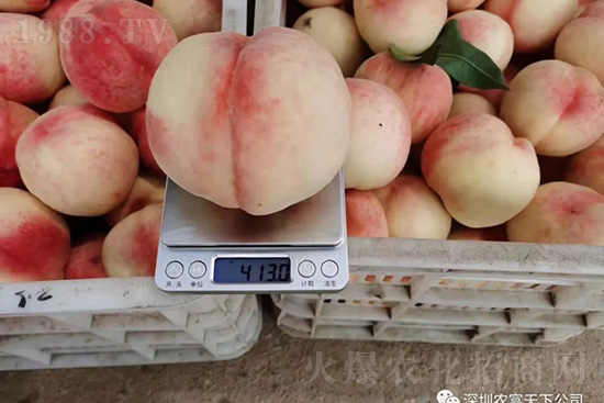 �Ҙ������ô�k���Ҙ����ԭ���A(y��)������