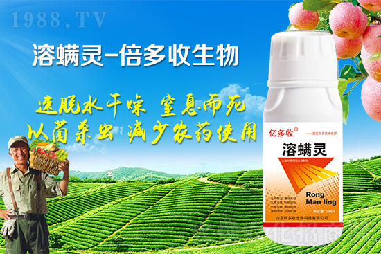 �ļ������~�����l(f��)��ô�k�������~����(y��ng)ԓ���ӷ�����