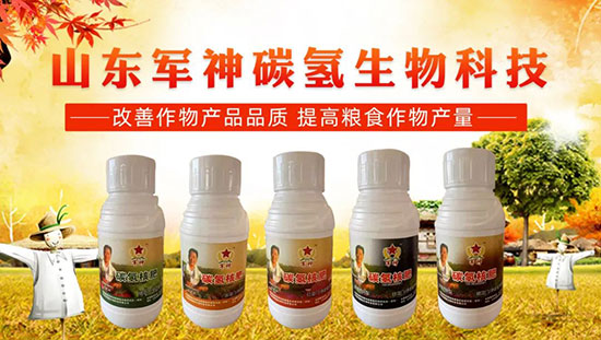 �r�Y���N������x�aƷ���������@Щ����Ҫע��